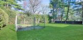 Lush Backyard!